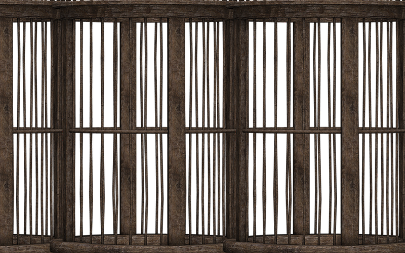 Imprisoned: the E-Slave